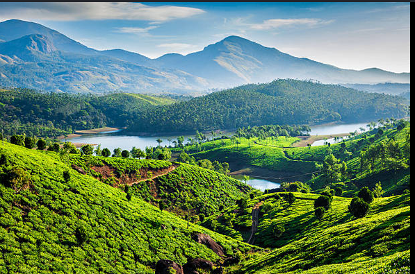 Munnar Tea Hills