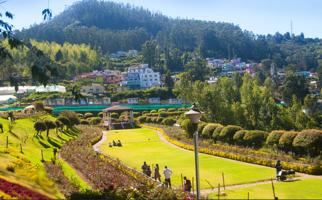Ooty Hills