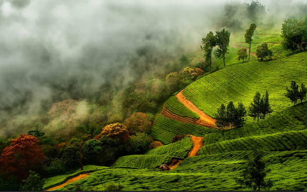 Wayanad